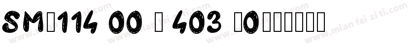 SM-114 00 - 403 -0字体转换